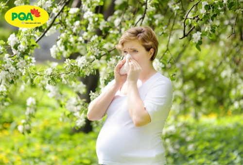 Viêm mũi dị ứng khi mang thai và kinh nghiệm chữa bệnh hiệu quả